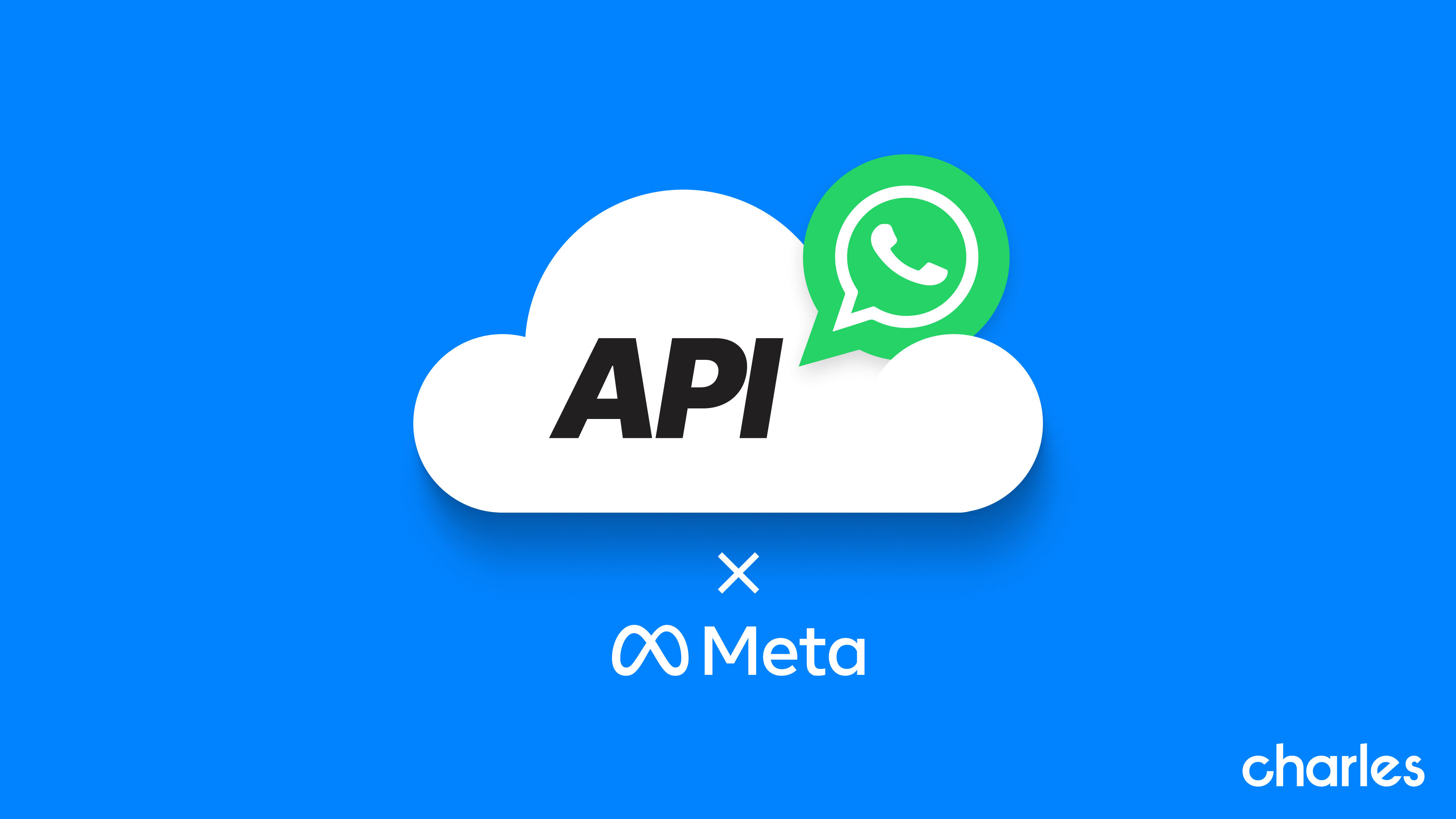 Meta Cloud API