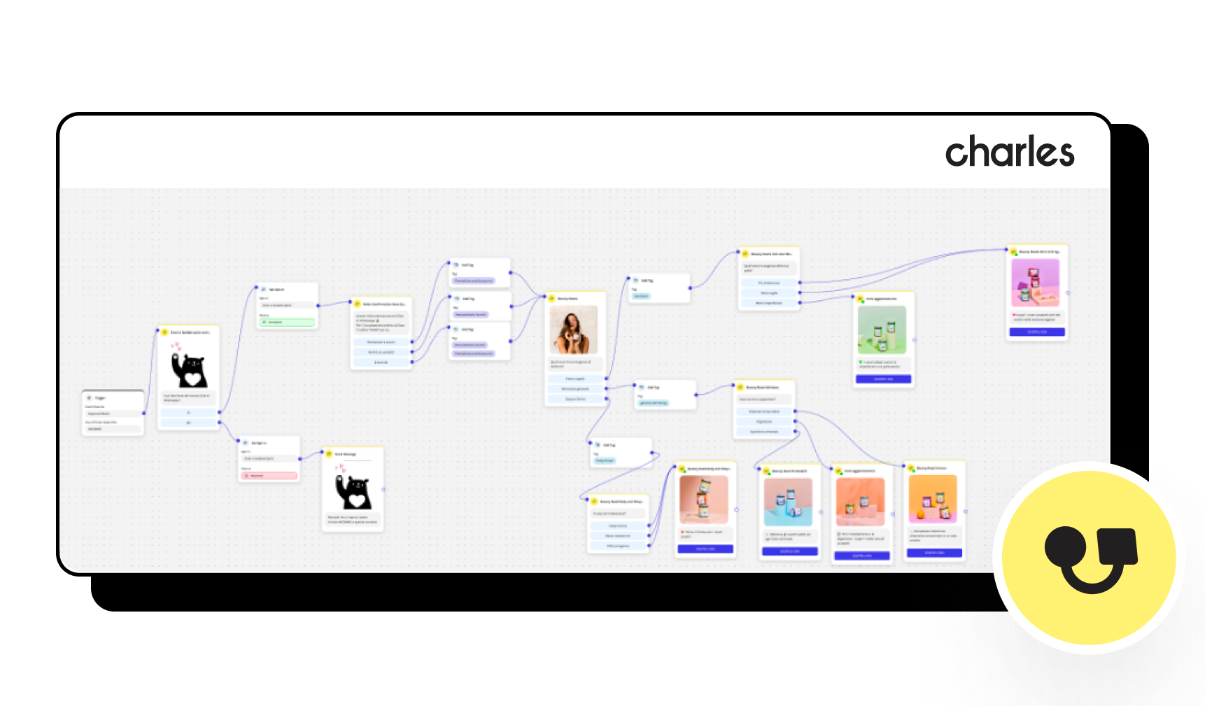 bears with benefits chatbot flow